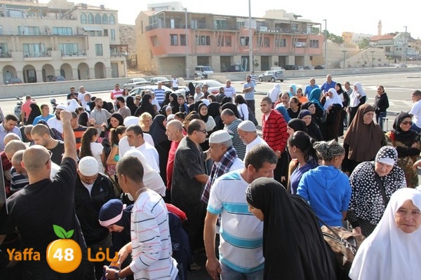 7ojaj yaffa arrive 1022 (46).JPG